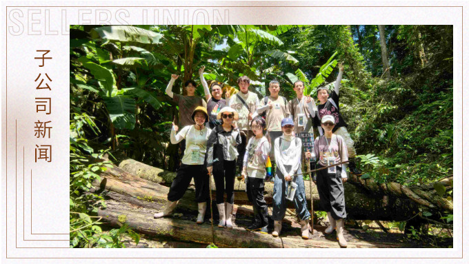 探雨林秘境，與森林同呼吸——記優(yōu)景公司年中西雙版納團建旅游